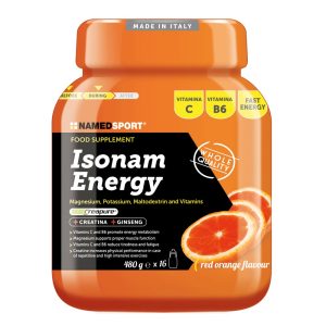 NAMEDSPORT Isonam Energy Mix 480g