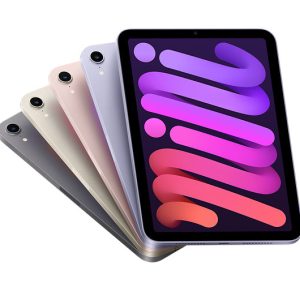 iPad Mini 6 Pink / RENEWED / WiFi (256GB)