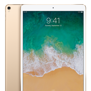 iPad Pro 9.7 inch No Touch ID. Gold / Grade C / WiFi + Cellular (256GB)