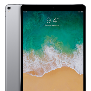 iPad Pro 9.7 inch No Touch ID. Space Grey / RENEWED / WiFi + Cellular (256GB)