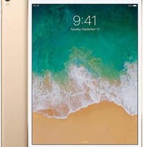 iPad Pro 12.9 inch (2nd Gen) Gold / RENEWED / WiFi + Cellular (256GB)